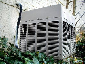 428815474_ef0e262d61_z